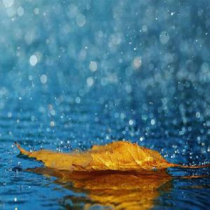 亚洲无码A片操逼高潮了啦慢点啊啊啊
